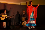 Flamenco Namitnie