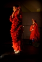 Flamenco Namitnie