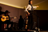 Flamenco Namitnie