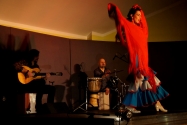 Flamenco Namitnie