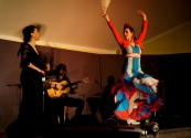 Flamenco Namitnie