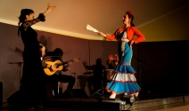 Flamenco Namitnie