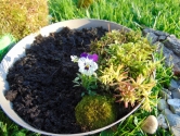Warsztaty "Fairy garden" Warsztaty "Fairy garden"