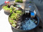 Warsztaty "Fairy garden" Warsztaty "Fairy garden"