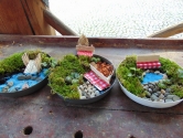 Warsztaty "Fairy garden" Warsztaty "Fairy garden"