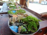 Warsztaty "Fairy garden" Warsztaty "Fairy garden"