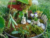 Warsztaty "Fairy garden" Warsztaty "Fairy garden"