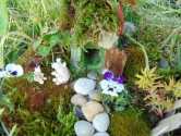 Warsztaty "Fairy garden" Warsztaty "Fairy garden"