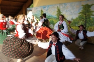 VII Przegląd Zespołów Regionalnych Rudzica 2015 VII Przegląd Zespołów Regionalnych Rudzica 2015