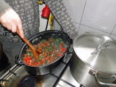 Dzikie rośliny jadalne Dzikie rośliny jadalne