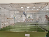 Wystawa ptaków egzotycznych i terrarystyki Wystawa ptaków egzotycznych i terrarystyki