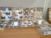 Wystawa ptaków egzotycznych i terrarystyki Wystawa ptaków egzotycznych i terrarystyki