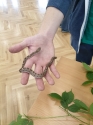 Wystawa ptaków egzotycznych i terrarystyki Wystawa ptaków egzotycznych i terrarystyki
