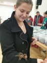 Wystawa ptaków egzotycznych i terrarystyki Wystawa ptaków egzotycznych i terrarystyki