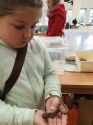 Wystawa ptaków egzotycznych i terrarystyki Wystawa ptaków egzotycznych i terrarystyki