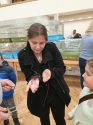 Wystawa ptaków egzotycznych i terrarystyki Wystawa ptaków egzotycznych i terrarystyki