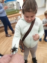 Wystawa ptaków egzotycznych i terrarystyki Wystawa ptaków egzotycznych i terrarystyki