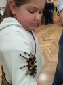 Wystawa ptaków egzotycznych i terrarystyki Wystawa ptaków egzotycznych i terrarystyki